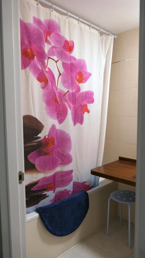 Apartament Ramon A Pobla Pobla de Segur Ngoại thất bức ảnh